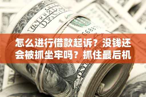 武汉怎么进行借款起诉？没钱还会被抓坐牢吗？抓住最后机会！