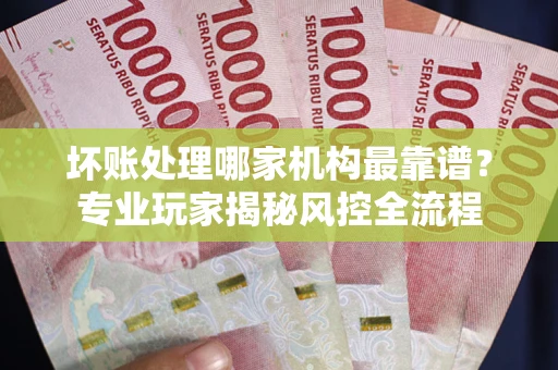 武汉坏账处理哪家机构最靠谱？专业玩家揭秘风控全流程