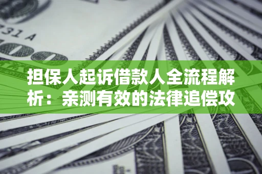 武汉担保人起诉借款人全流程解析：亲测有效的法律追偿攻略