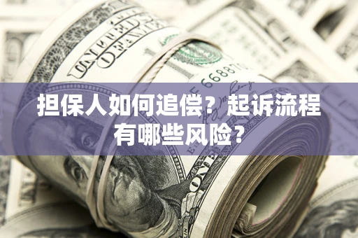 武汉担保人如何追偿？起诉流程有哪些风险？