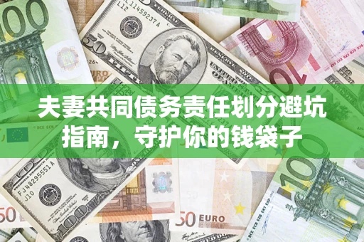 武汉夫妻共同债务责任划分避坑指南，守护你的钱袋子