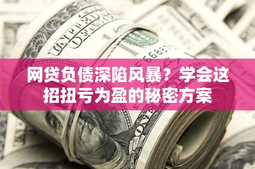 武汉网贷负债深陷风暴？学会这招扭亏为盈的秘密方案
